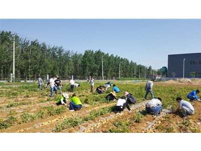 在这丰收喜悦的季节里，我们满载而归