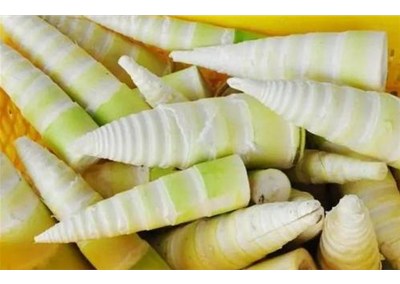 竹笋烘干机的原理和使用方法
